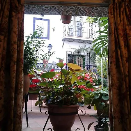 Guest house Enriqueta 4*