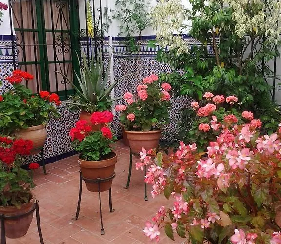 Enriqueta Marbella